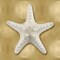 Ocean Gem on Gold VI Poster Print by Caroline Kelly # CKL114070